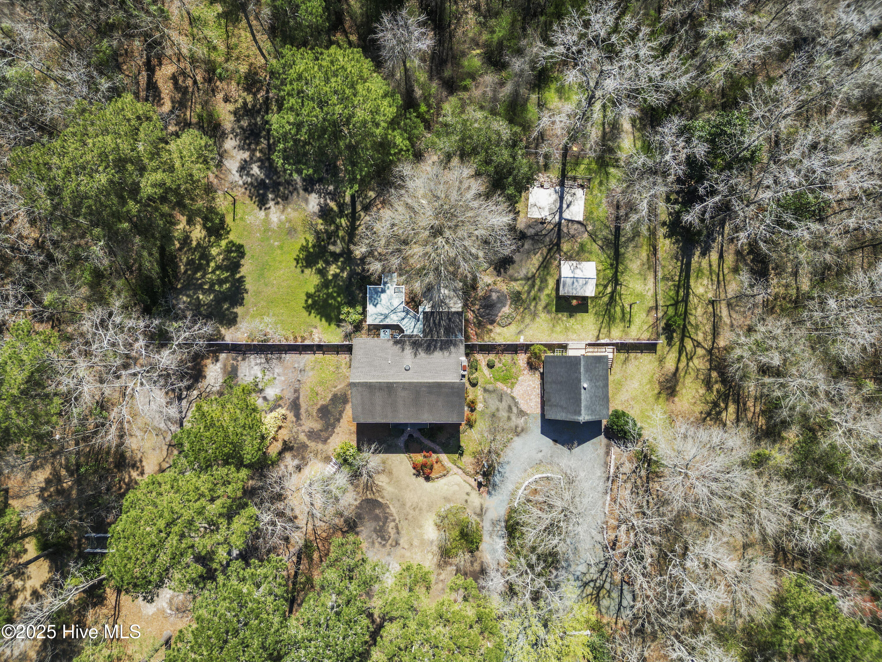 384 Crooked Run Road Willard, NC 28478 - Photo 47 of 55 384 Crooked Run 7