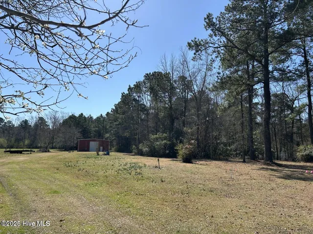 $785,000 | 384 Crooked Run Road, Willard, NC 28478