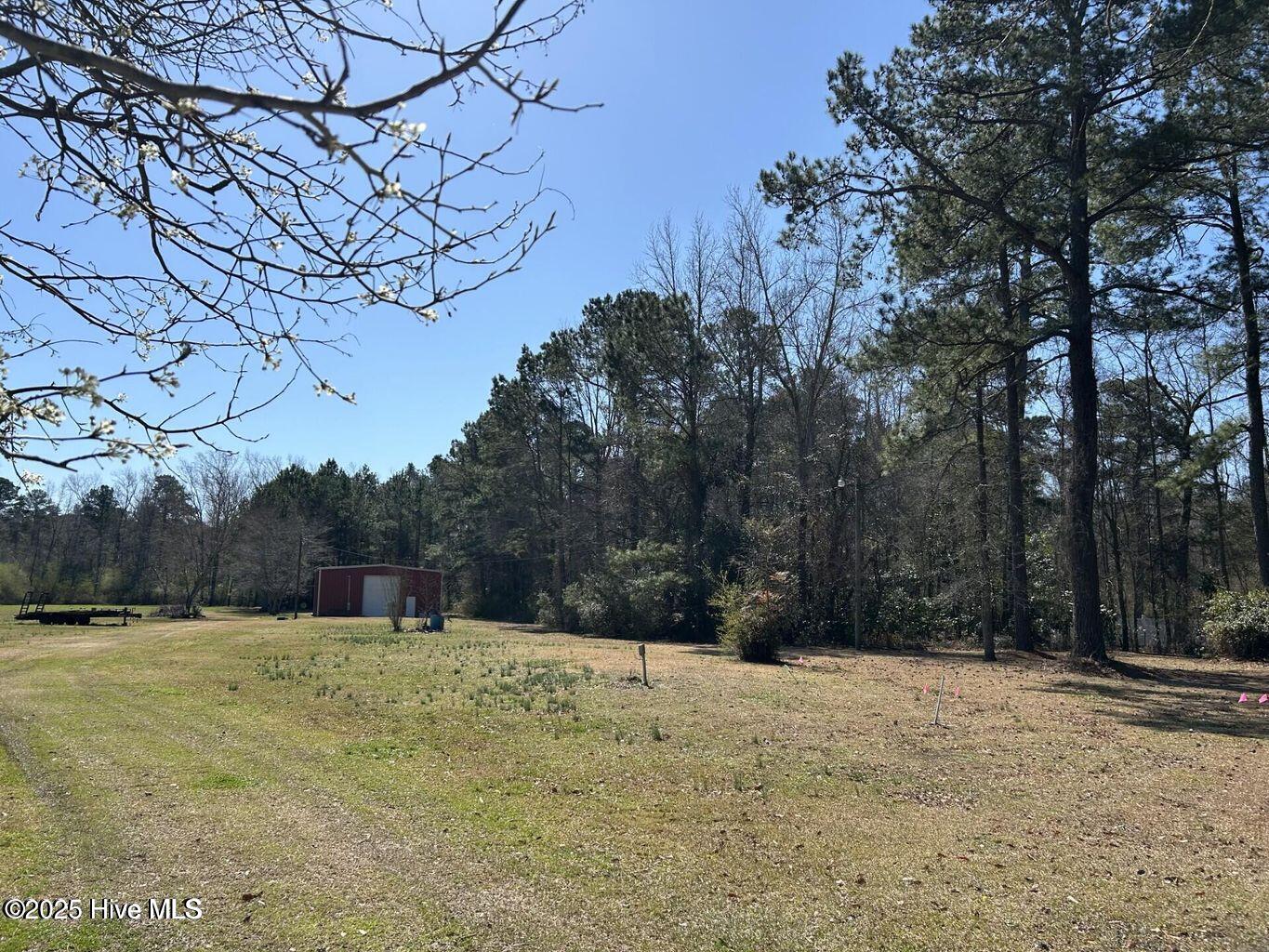 384 Crooked Run Road Willard, NC 28478 - Photo 53 of 55 Crooked Run 35