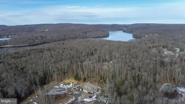 a view of a lake in middle of the forest