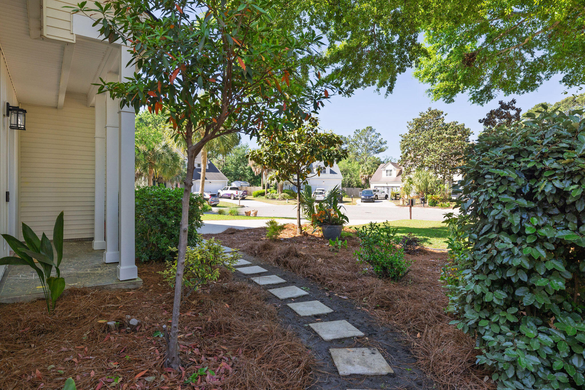 1231 Winding Ridge Court Mount Pleasant, SC 29466 - Photo 49 of 52 413A5017