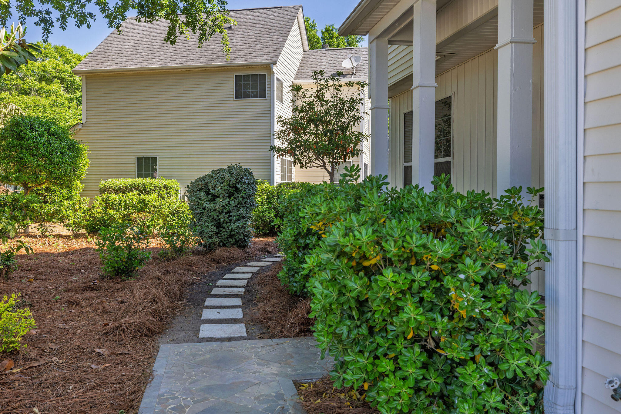 1231 Winding Ridge Court Mount Pleasant, SC 29466 - Photo 50 of 52 413A5013