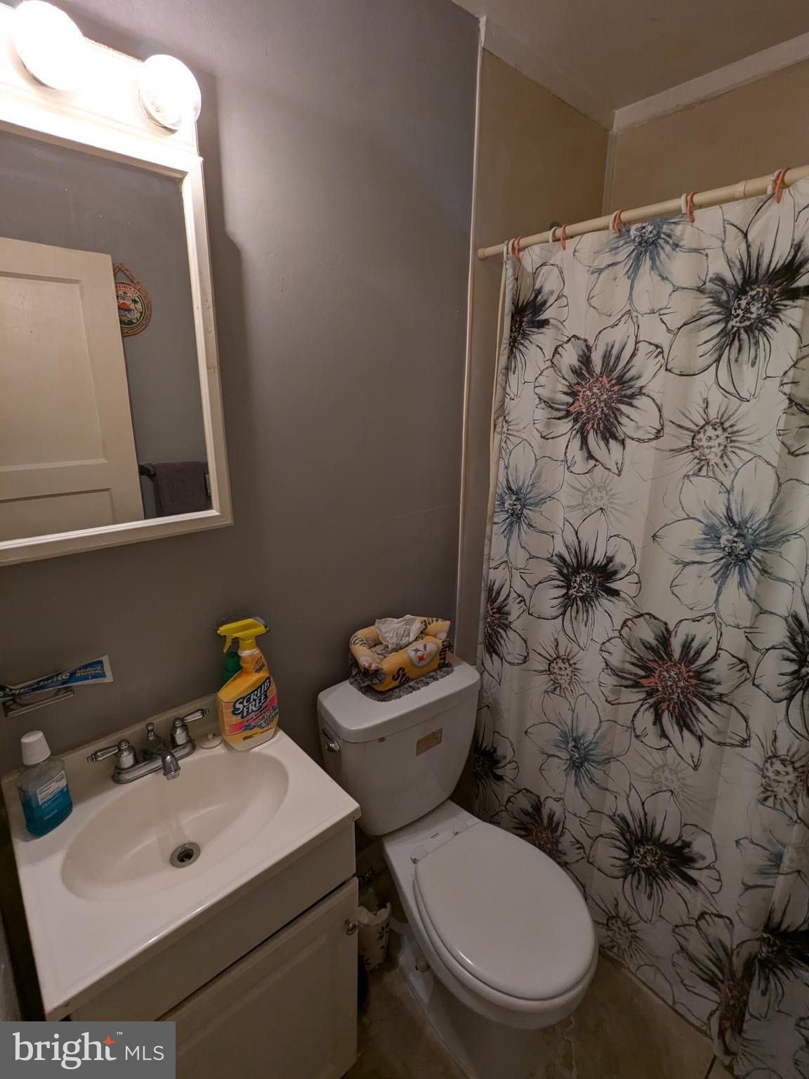 504 Bridgeview Road Baltimore, MD 21225 - Photo 6 of 12 a bathroom with a sink a toilet and a mirror