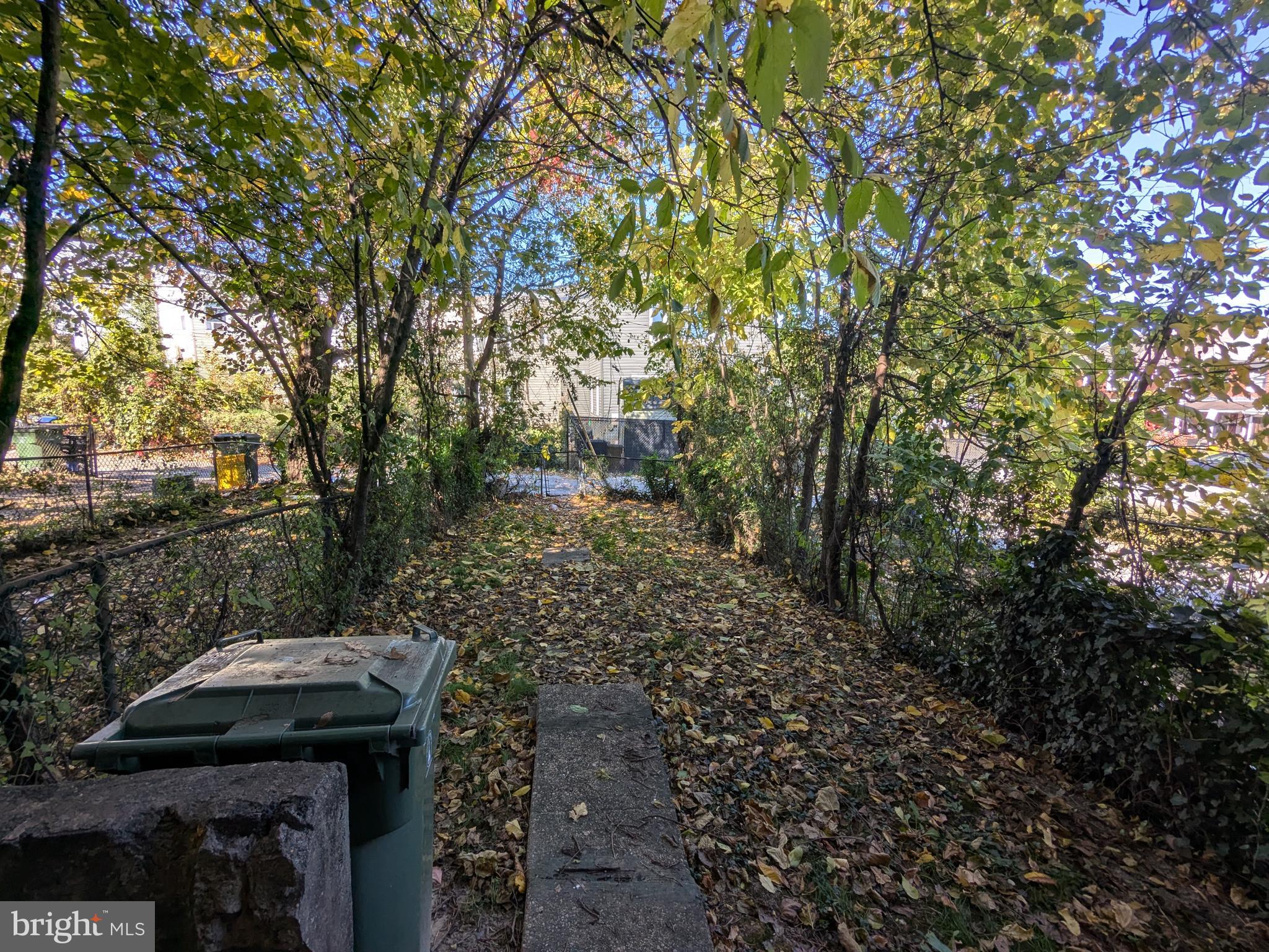 504 Bridgeview Road Baltimore, MD 21225 - Photo 8 of 12 a view of a yard with plants and large trees