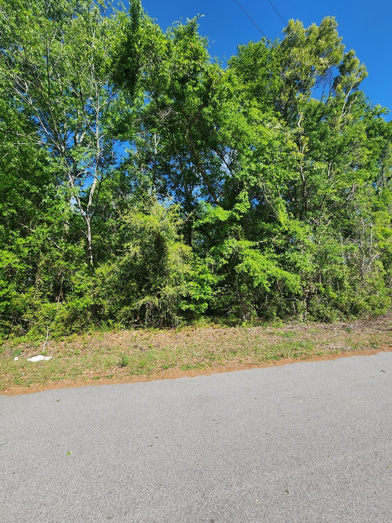 2395 Killdee Drive Sumter, SC 29154 - Photo 2 of 3