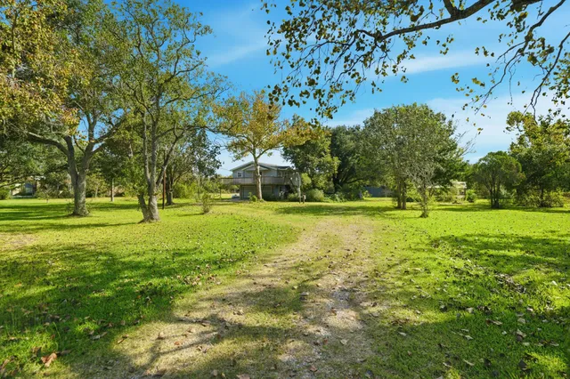 a view of a park with large trees