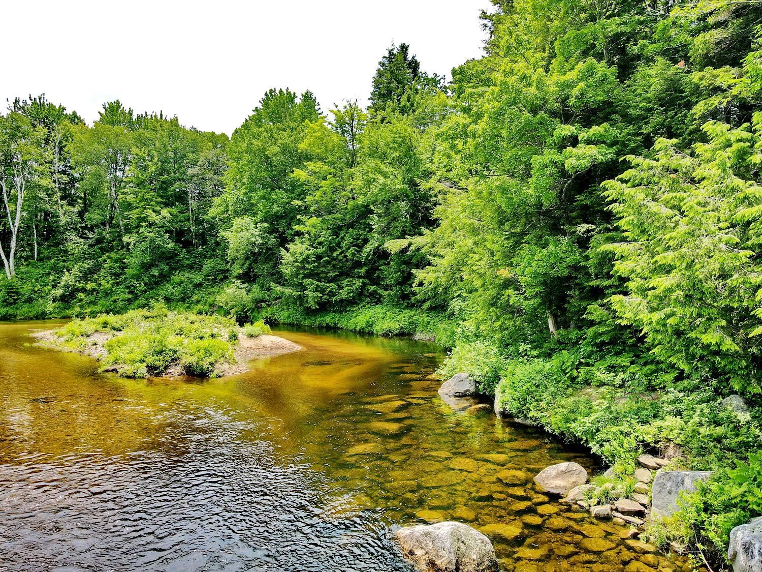 155 Mountain View Road Carroll, NH 03595 - Photo 16 of 32