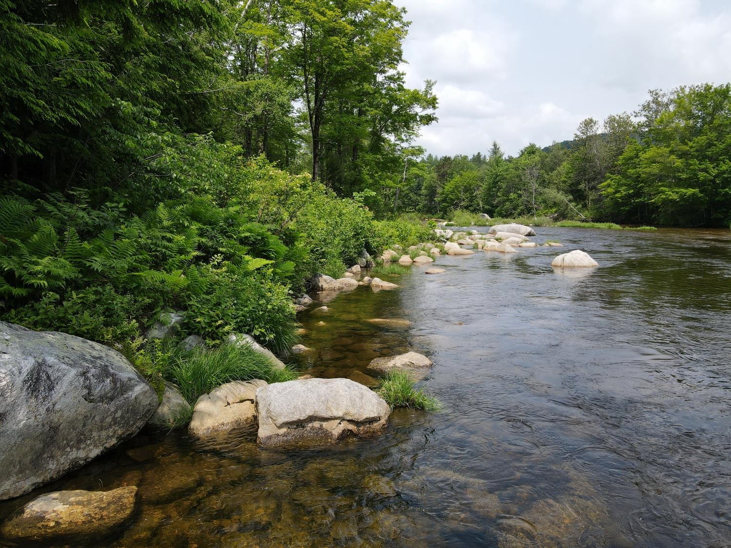 155 Mountain View Road Carroll, NH 03595 - Photo 24 of 32