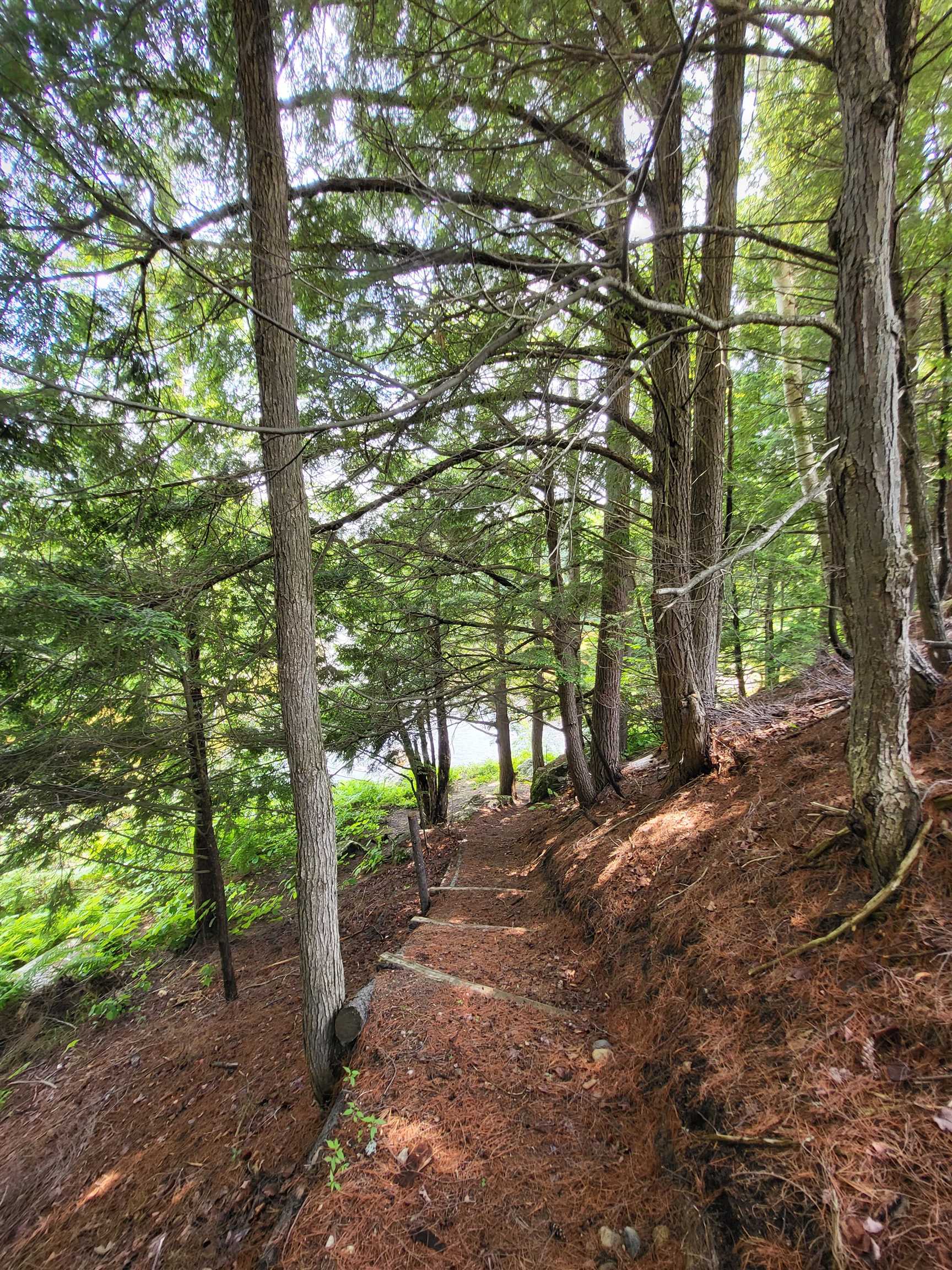 155 Mountain View Road Carroll, NH 03595 - Photo 31 of 32