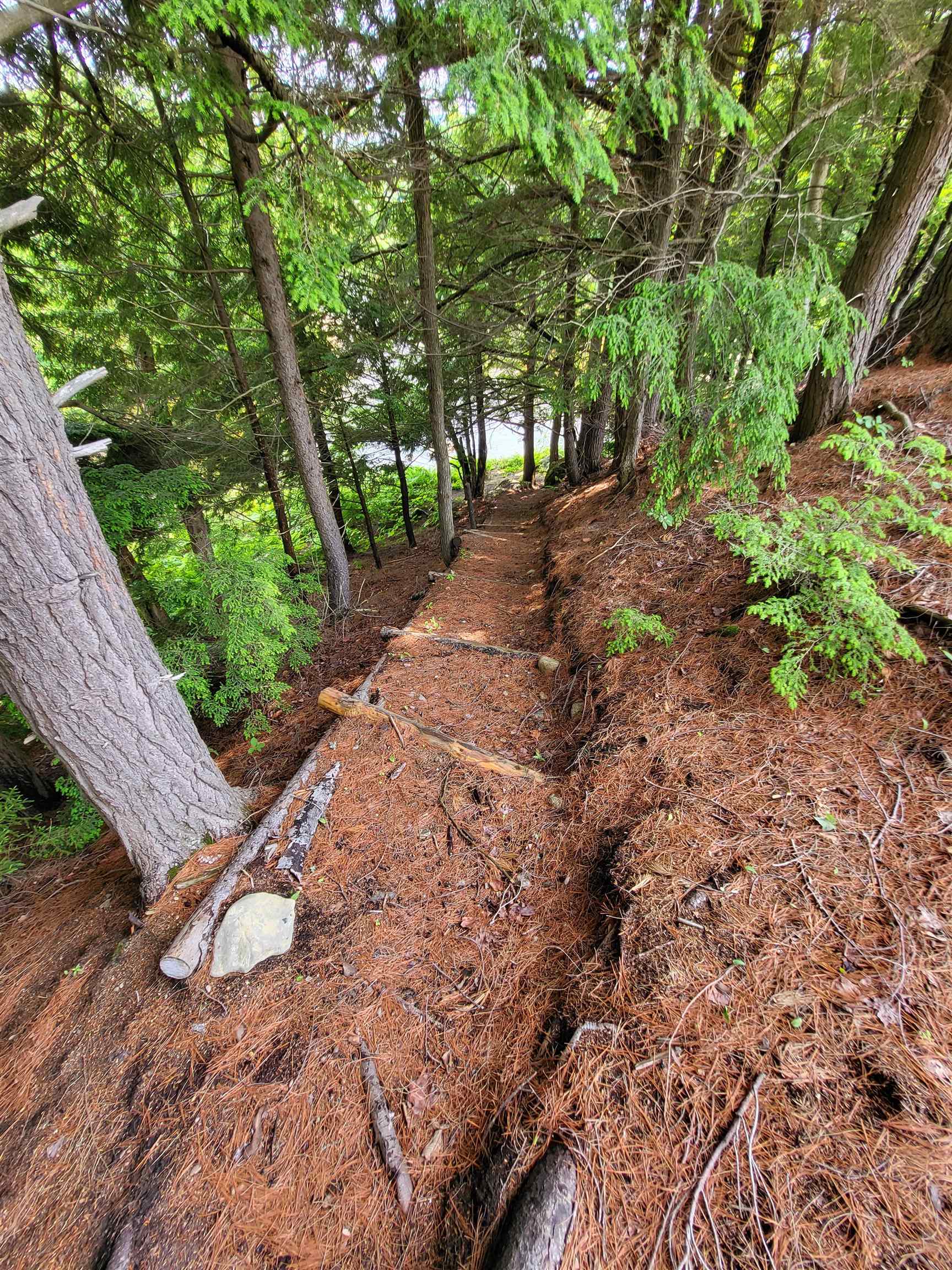 155 Mountain View Road Carroll, NH 03595 - Photo 32 of 32