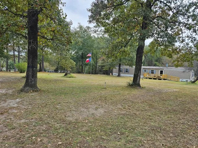 a view of a tree in a yard