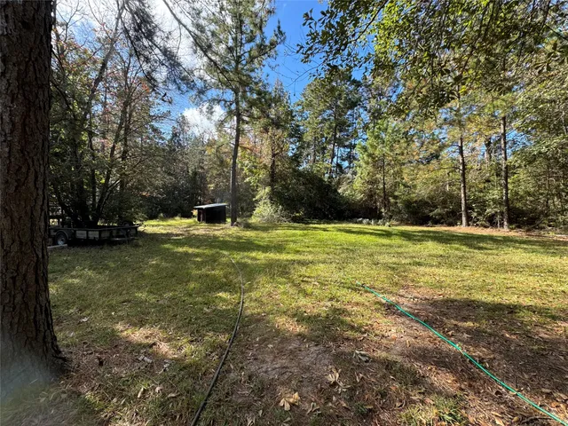 a view of a field with trees