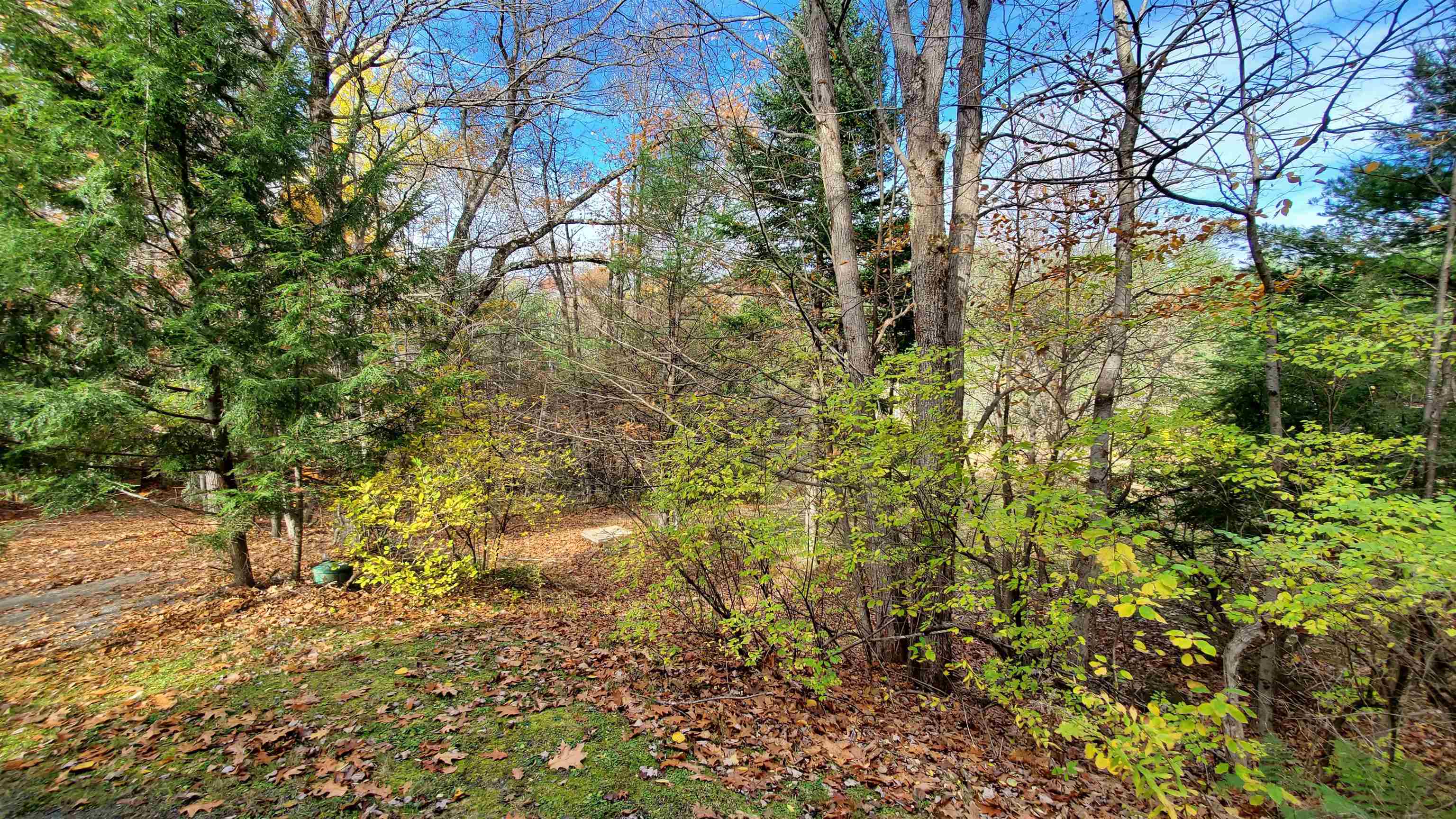 24 Melview Ridge Norwich, VT 05055 - Photo 17 of 24