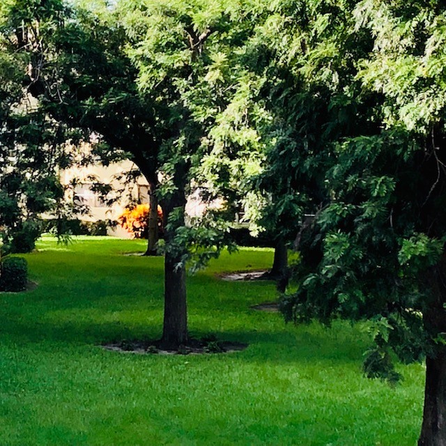 1100 Ponce De Leon Circle, Unit E306 Vero Beach, FL 32960 - Photo 30 of 30 a view of a trees with a yard