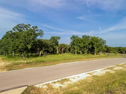 a backyard of a house with plants and large trees