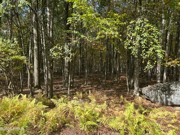 $8,000 | Lot 251 West Chipmunk Road, Bushkill, PA 18324