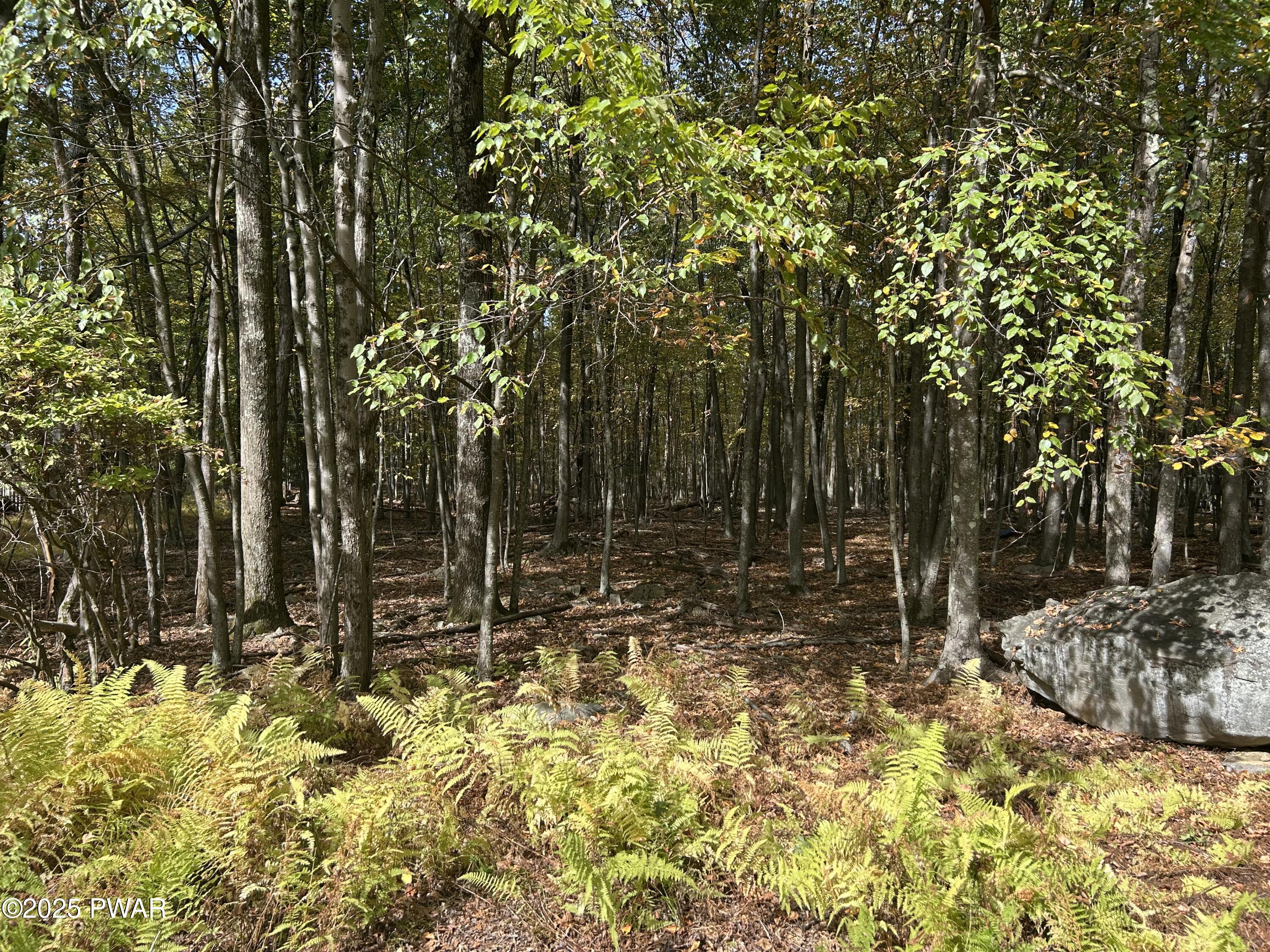 Lot 251 West Chipmunk Road Bushkill, PA 18324 - Photo 1 of 3