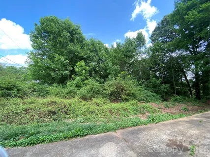 a view of a large yard with lots of green space and deers