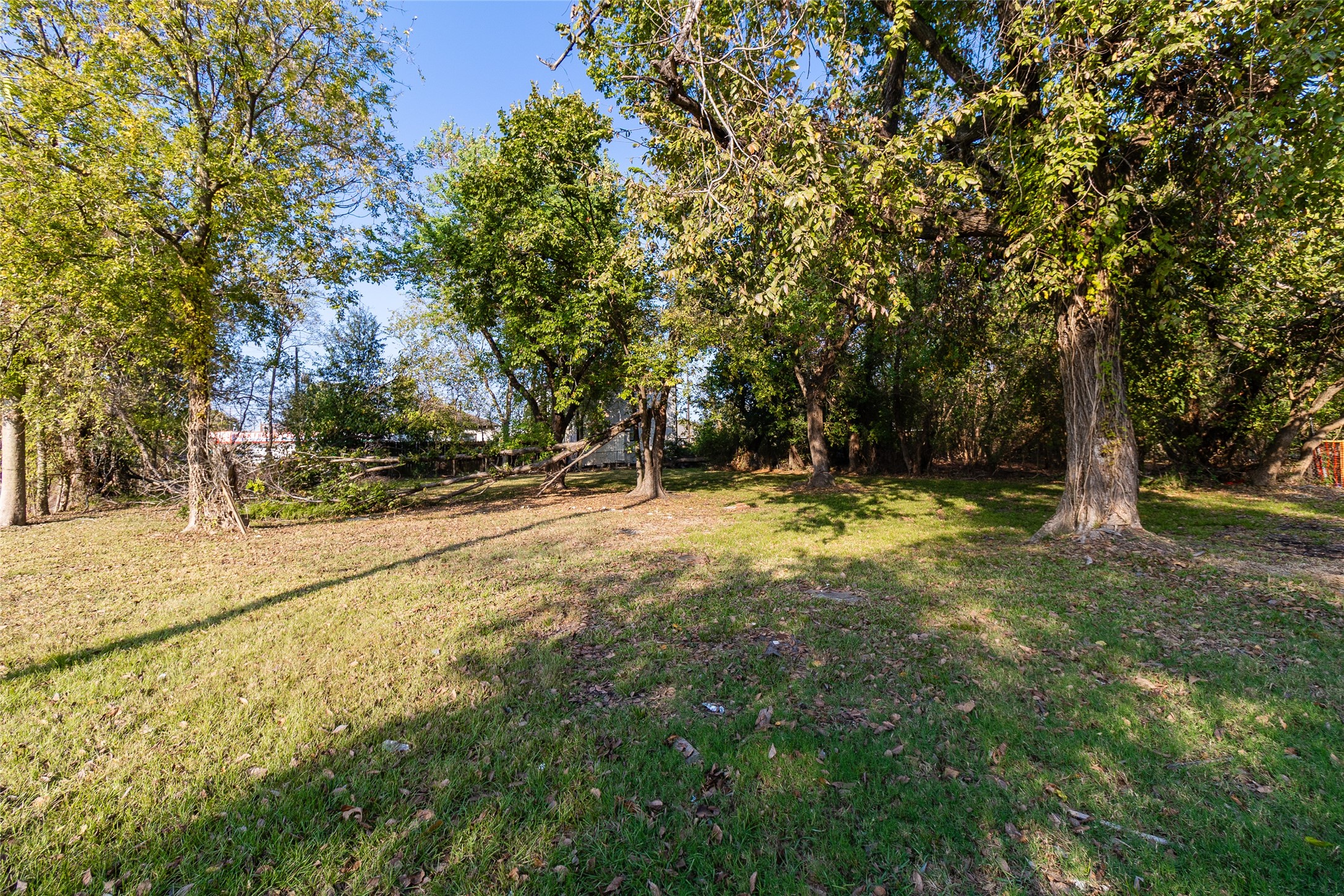 4405 Hare Street Houston, TX 77020 - Photo 2 of 17 a view of swimming pool with large trees