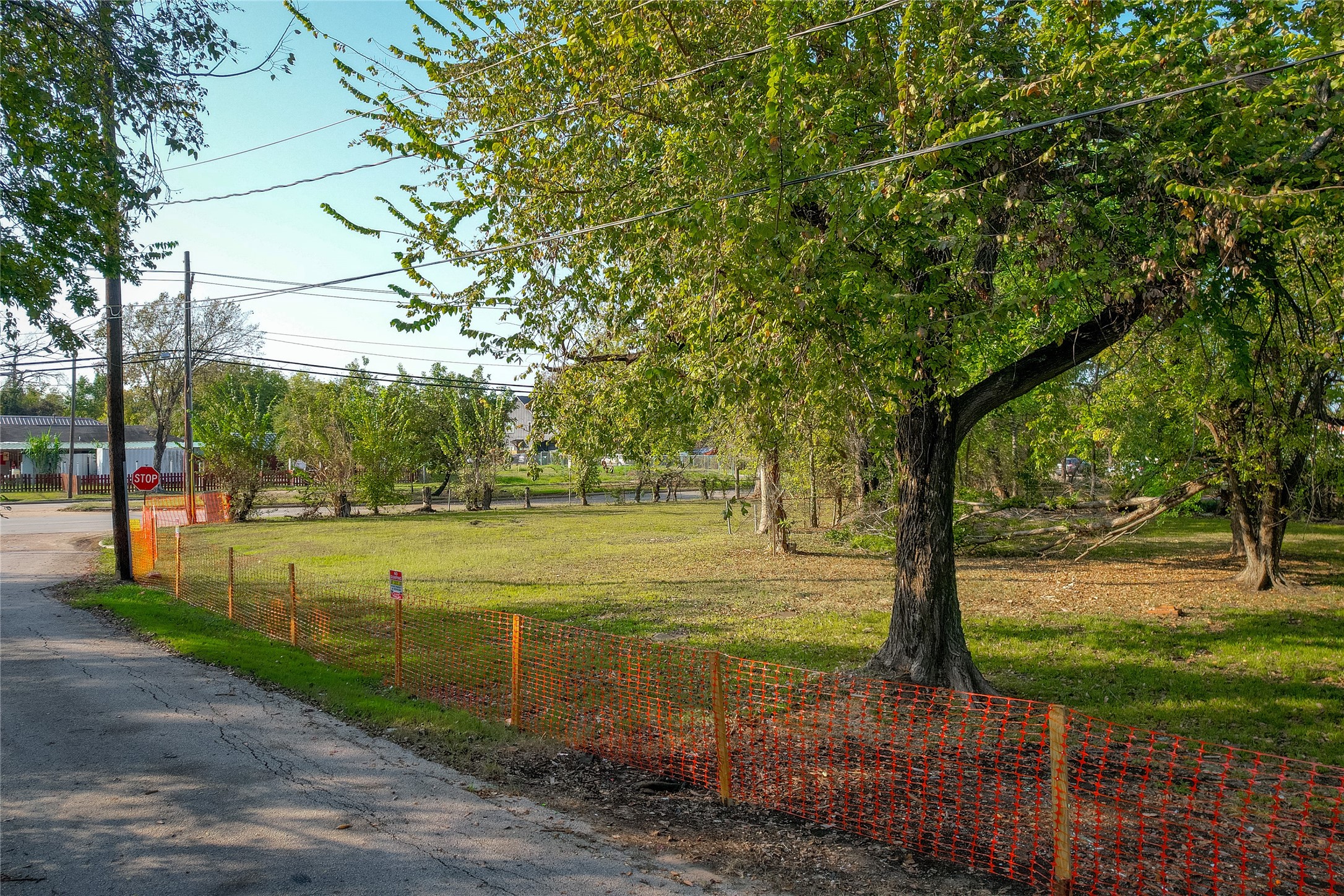 4405 Hare Street Houston, TX 77020 - Photo 3 of 17 a view of a yard with plants and large trees
