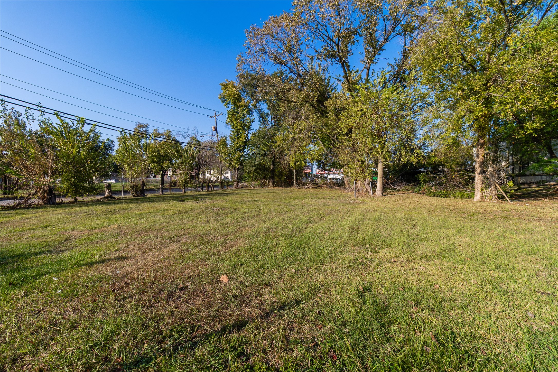 4405 Hare Street Houston, TX 77020 - Photo 10 of 17 a view of a park with large trees