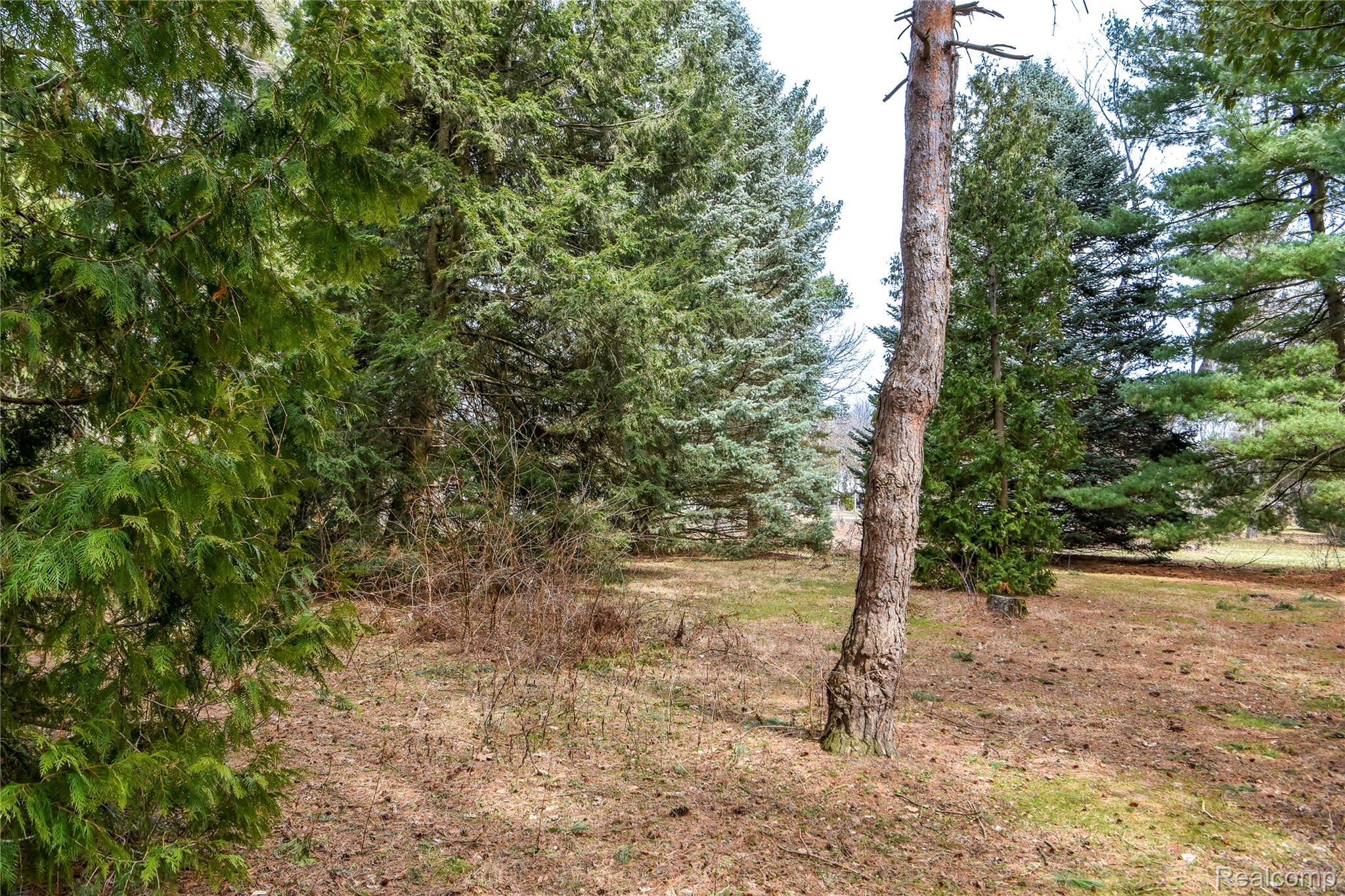 Lot 64 Merry Road Waterford, MI 48328 - Photo 19 of 26 1493 Vacant Lot for MLS (19).jpg