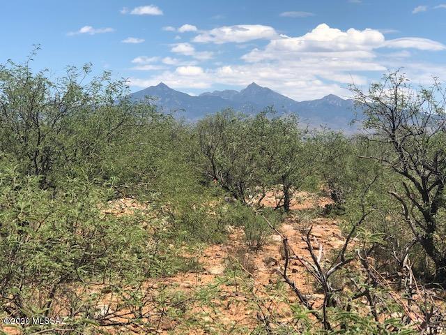 1726 Circulo Suecia, Unit 4 Rio Rico, AZ 85648 - Photo 7 of 9