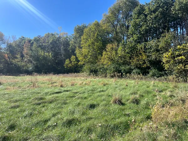 a view of backyard with green space