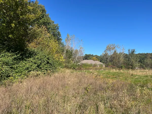 a view of a field of grass and trees