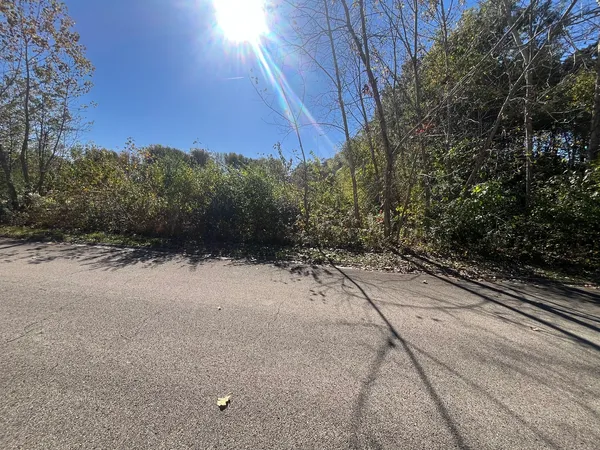 a view of a backyard of the house