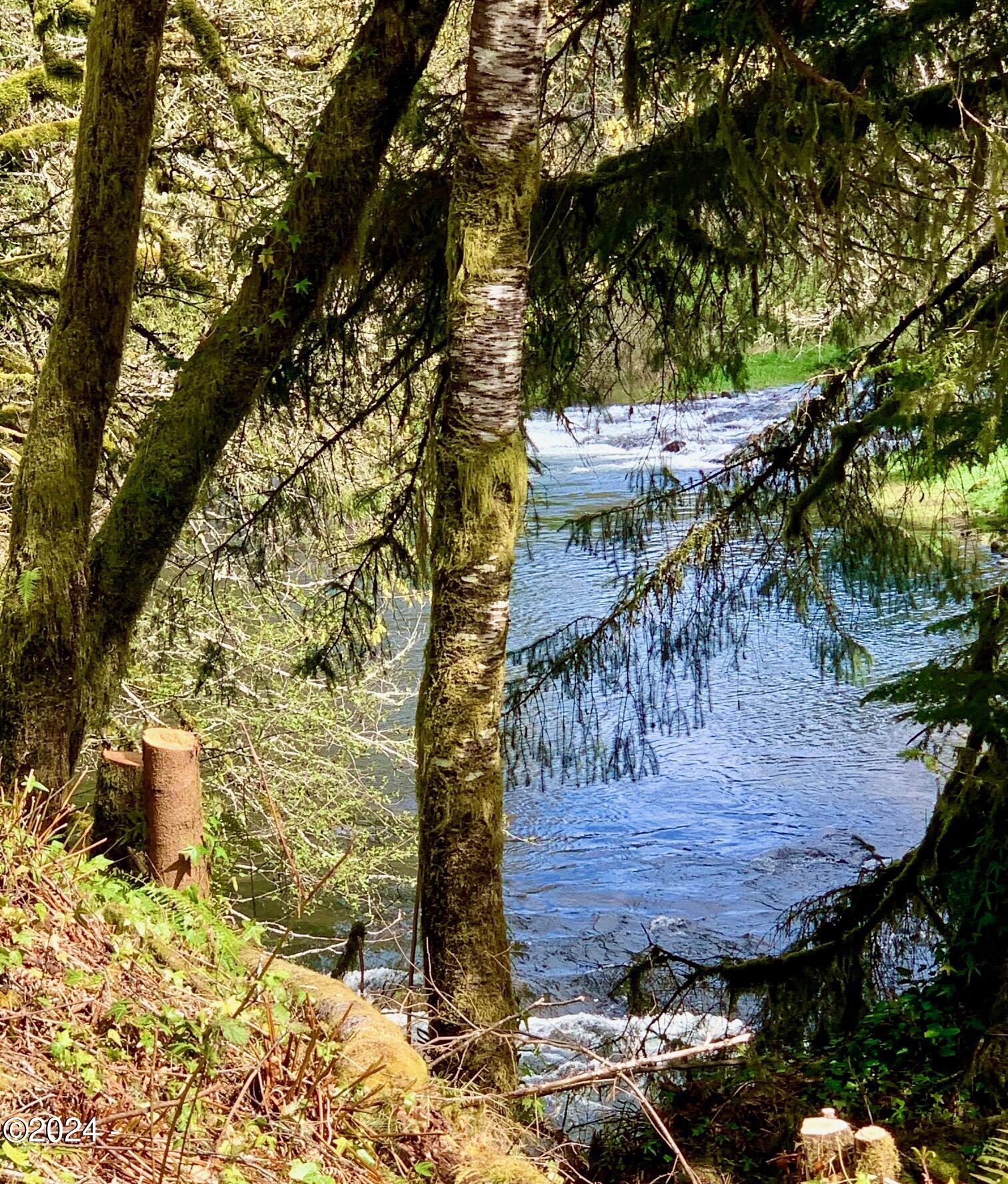 2850 North North Bank Road Otis, OR 97368 - Photo 1 of 8 IMG_2863