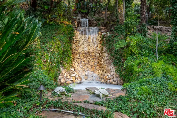 a view of a yard with plants and large trees