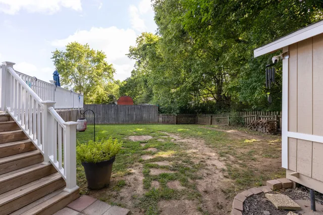 a backyard of a house with plants and large tree