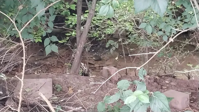 $599,999 | 1744 Shane Drive, Spring Hill, TN 37174