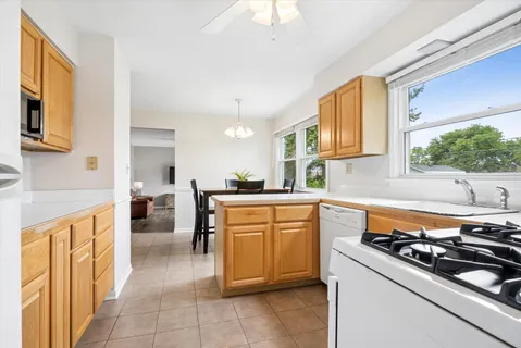 $575,000 | 919 East Ironwood Drive, Mount Prospect, IL 60056