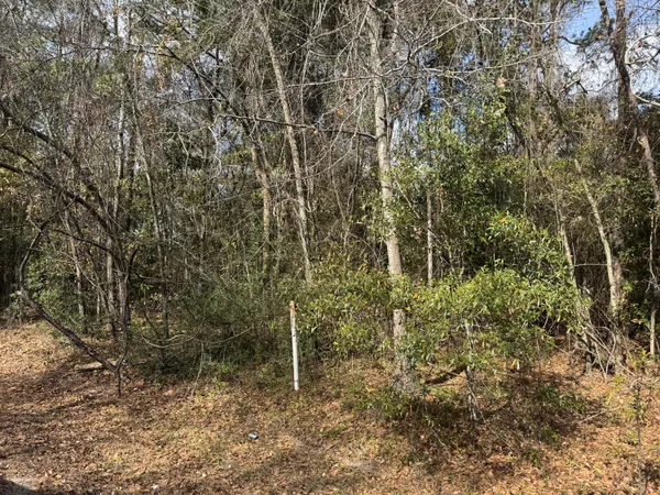 $100,000 | 0 Robertson Boulevard, Walterboro, SC 29488