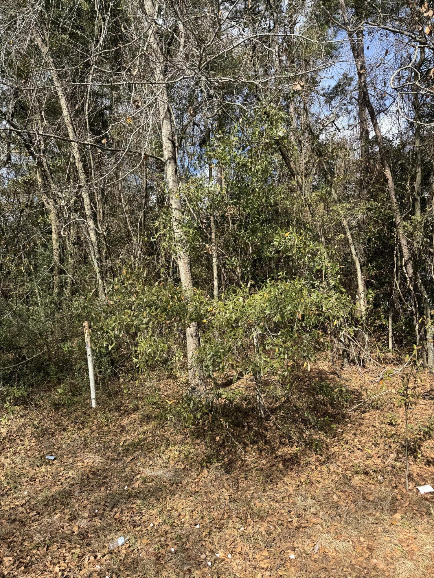 0 Robertson Boulevard Walterboro, SC 29488 - Photo 2 of 2 IMG_4475
