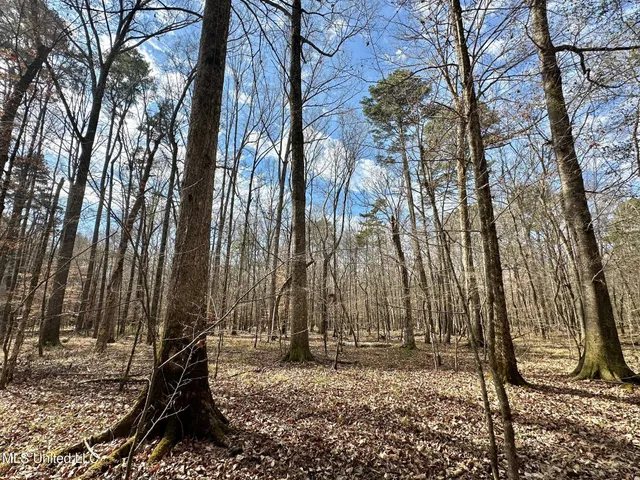 $575,000 | 5 Scarborough Road, Carthage, MS 39051