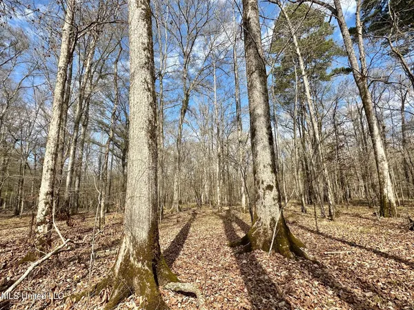 $575,000 | 5 Scarborough Road, Carthage, MS 39051