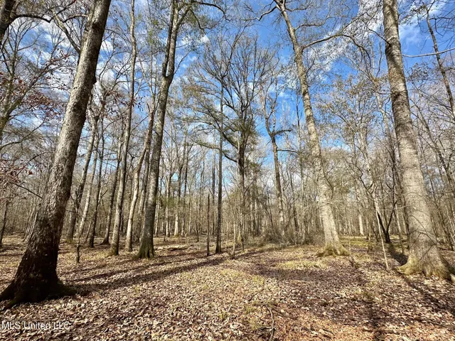 $575,000 | 5 Scarborough Road, Carthage, MS 39051