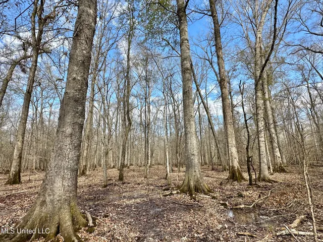 $575,000 | 5 Scarborough Road, Carthage, MS 39051