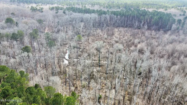 $575,000 | 5 Scarborough Road, Carthage, MS 39051