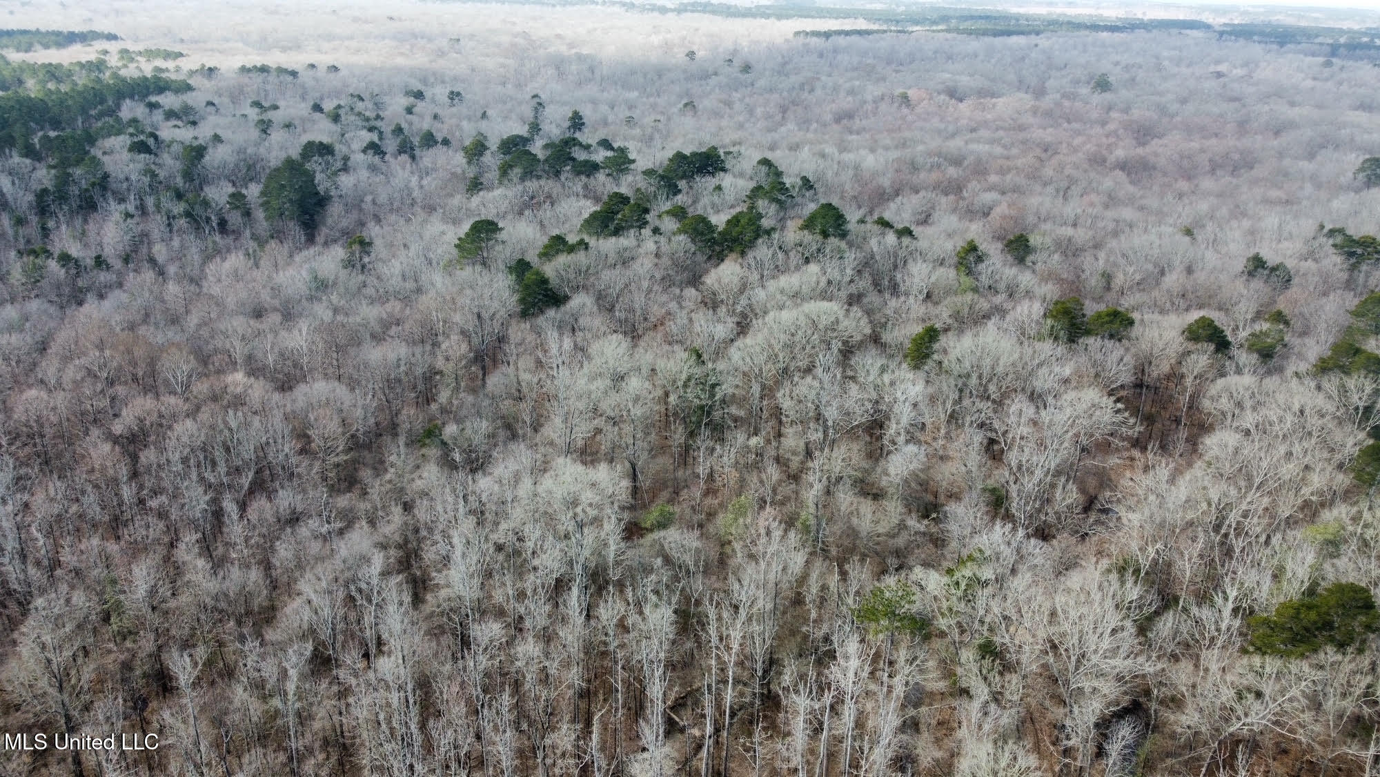 5 Scarborough Road Carthage, MS 39051 - Photo 18 of 46 20