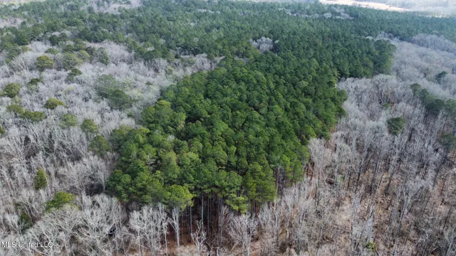 $575,000 | 5 Scarborough Road, Carthage, MS 39051