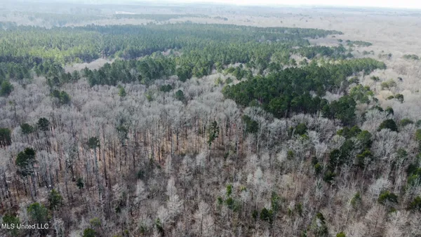 $575,000 | 5 Scarborough Road, Carthage, MS 39051