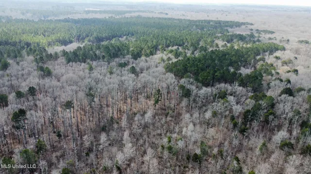 $575,000 | 5 Scarborough Road, Carthage, MS 39051