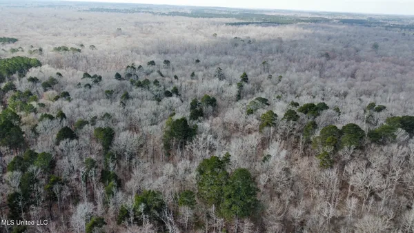 $575,000 | 5 Scarborough Road, Carthage, MS 39051