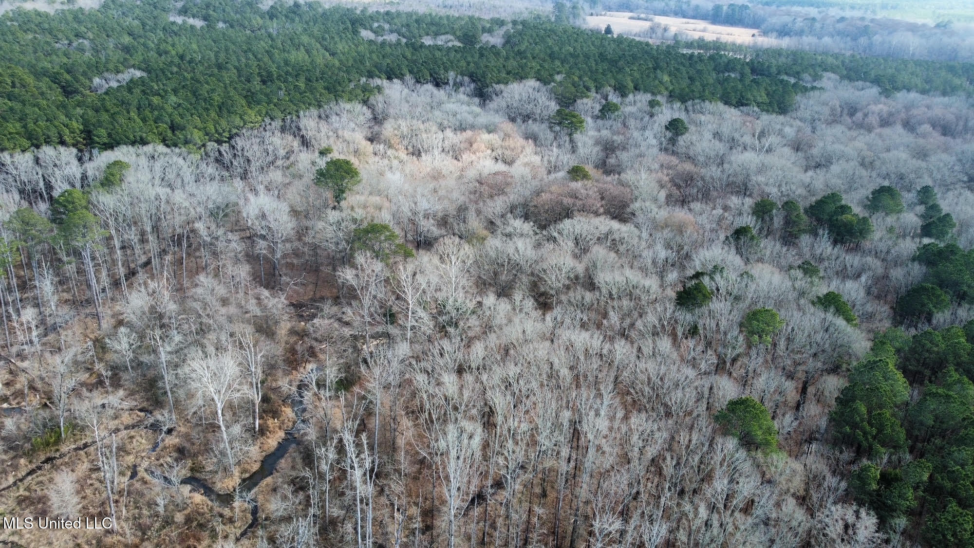 5 Scarborough Road Carthage, MS 39051 - Photo 23 of 46 25
