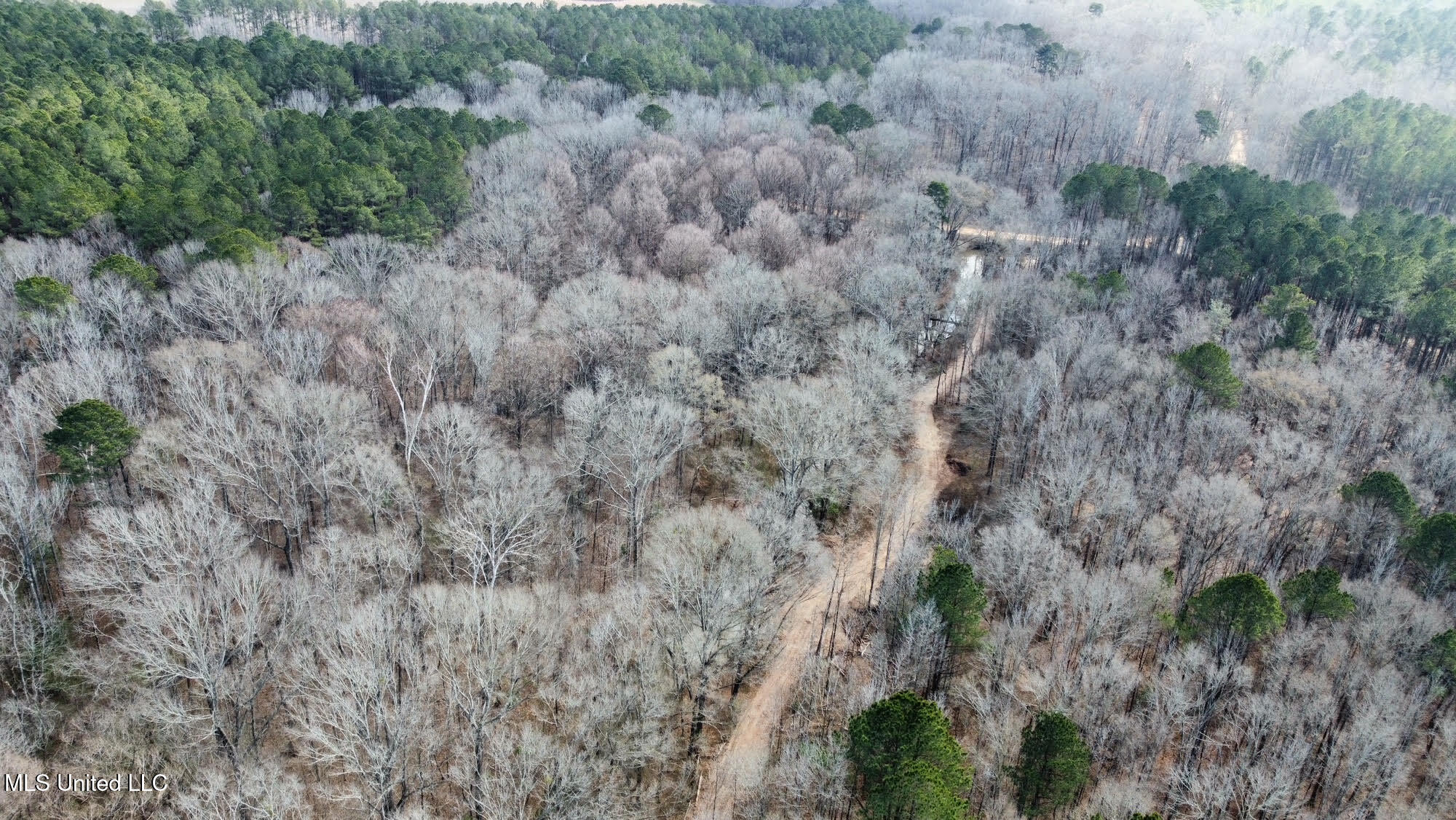 5 Scarborough Road Carthage, MS 39051 - Photo 24 of 46 26