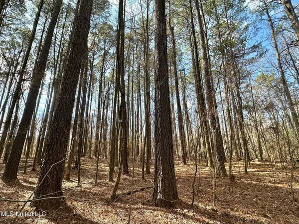 $575,000 | 5 Scarborough Road, Carthage, MS 39051